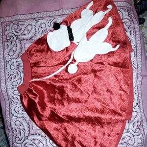 Handmade toddler poodle skirt